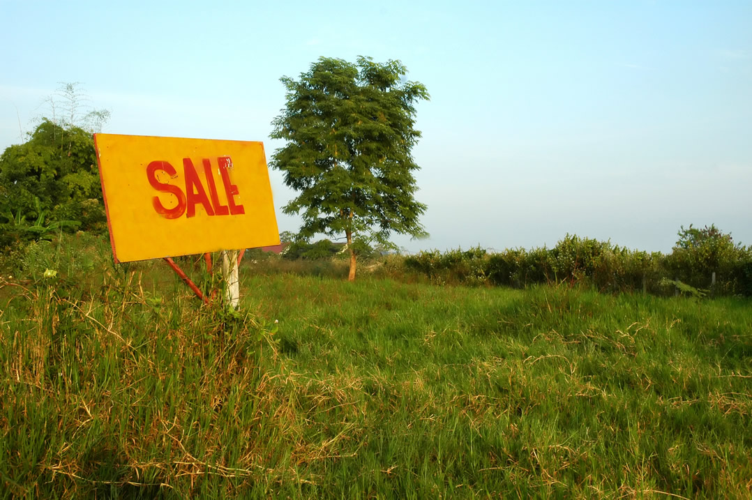 What you need to know, to sell your land quickly