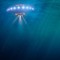 Aliens from the ocean depths – declarations of some submarine commanders