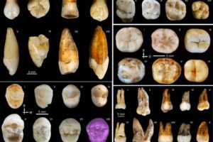 Homo sapiens have been present in China since at least 100,000 years ago 1